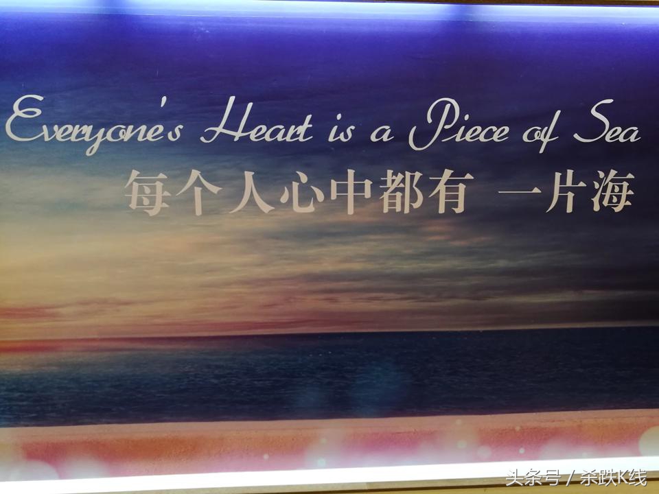 龙虎榜解析市场资金动向,关于股市龙虎榜的理解和看法