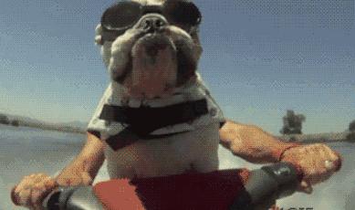 10平米饮品店的利润,10平米小店利润多少