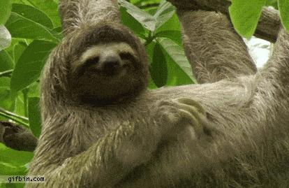 蚊子喜欢用什么驱蚊液,驱蚊最好的4种物品