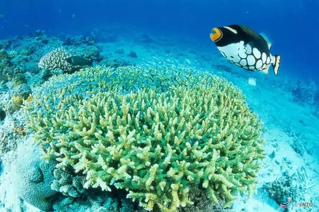 旅博会旅游特惠,旅博会旅游优惠