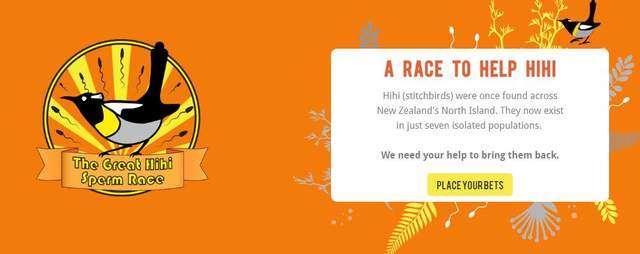 她举办“精子游泳大赛”！下注谁游得最快，募款拯救濒危鸟类