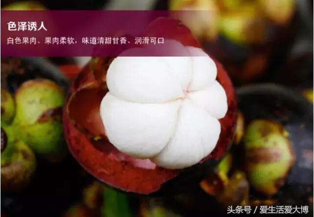 广西山竹几月份上市,越南山竹上市时间