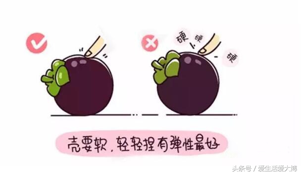 广西山竹几月份上市,越南山竹上市时间