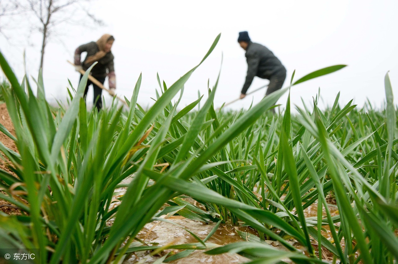 孕期这些东西千万不要碰,孕期要警惕摄入的调料你肯定吃过