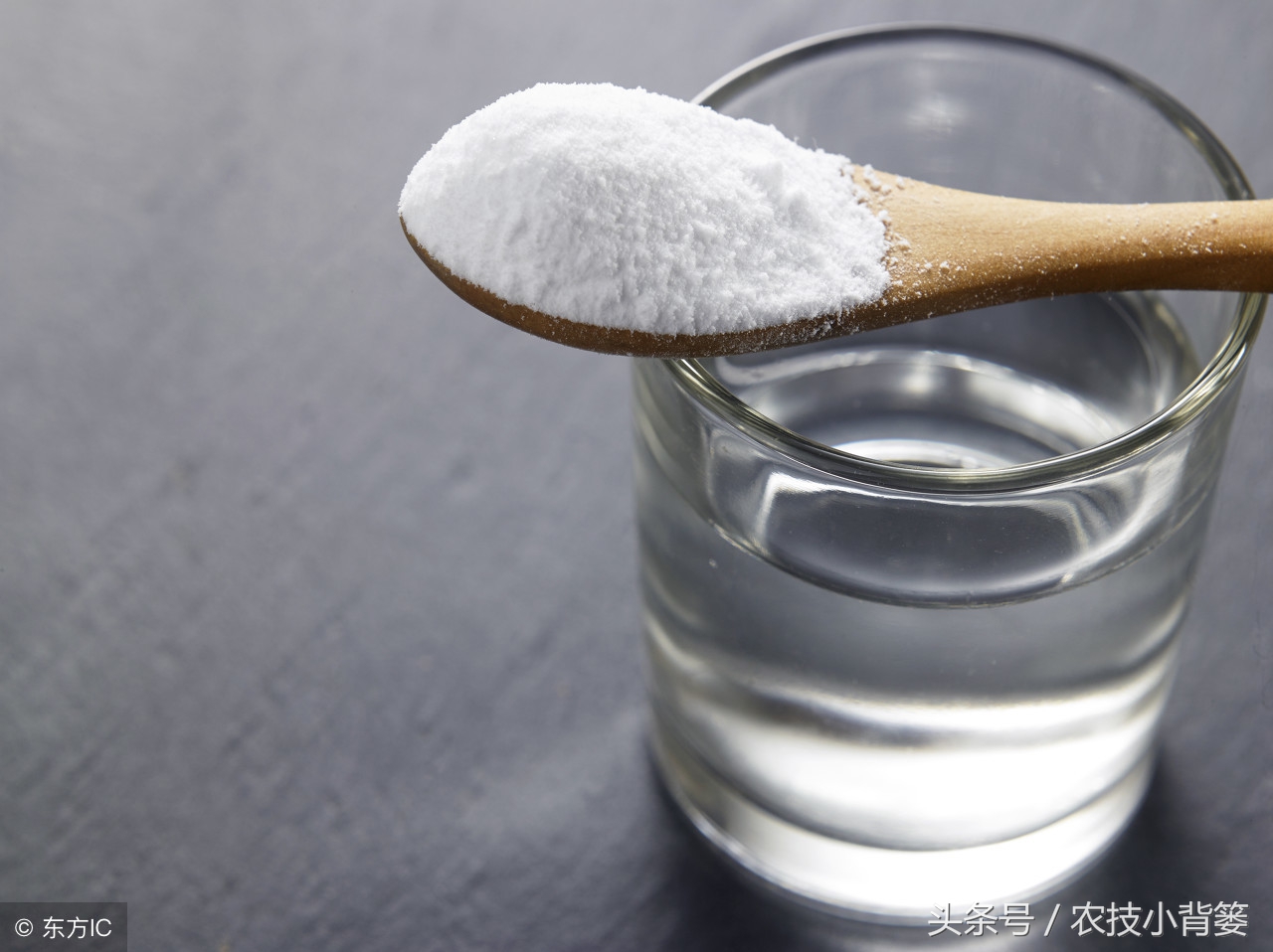 盆栽巧用小苏打：消毒灭菌、防虫祛害，家庭养花更简单！