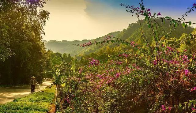 腾冲热海流连忘返,走进腾冲热海