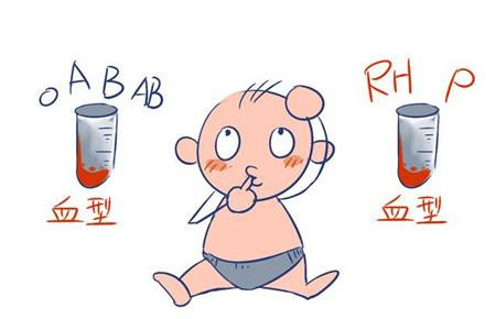 b型血的母猫生小猫怎么办,a型母猫和b型公猫会生出什么猫