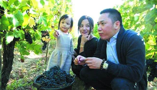 赵薇红酒到底怎么样,赵薇的红酒什么档次