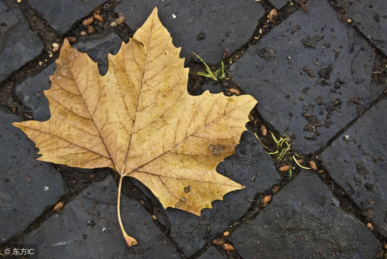 风湿病学习班(8)--干燥综合征
