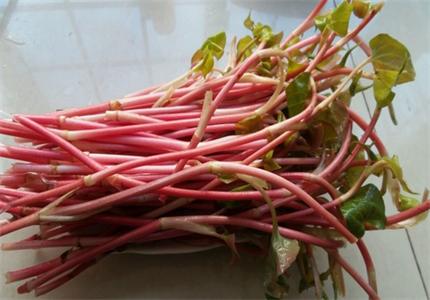 折耳根野菜的功效与作用,农村野菜折耳根清热解毒