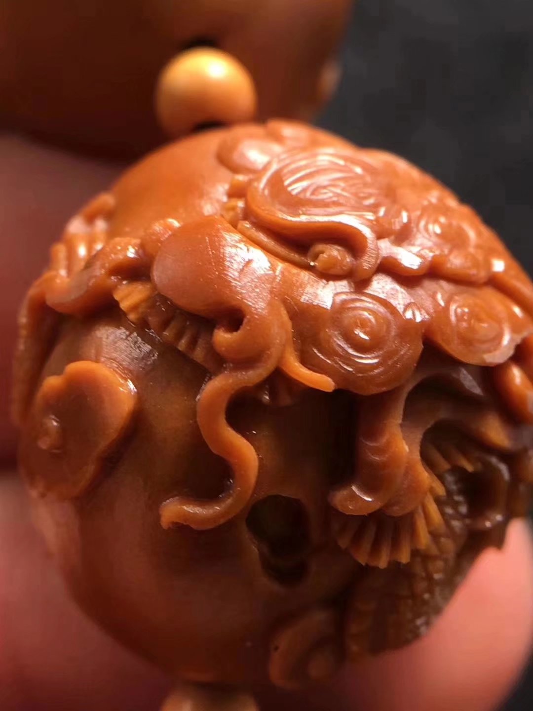 橄榄核春天能玩吗,橄榄核之秋