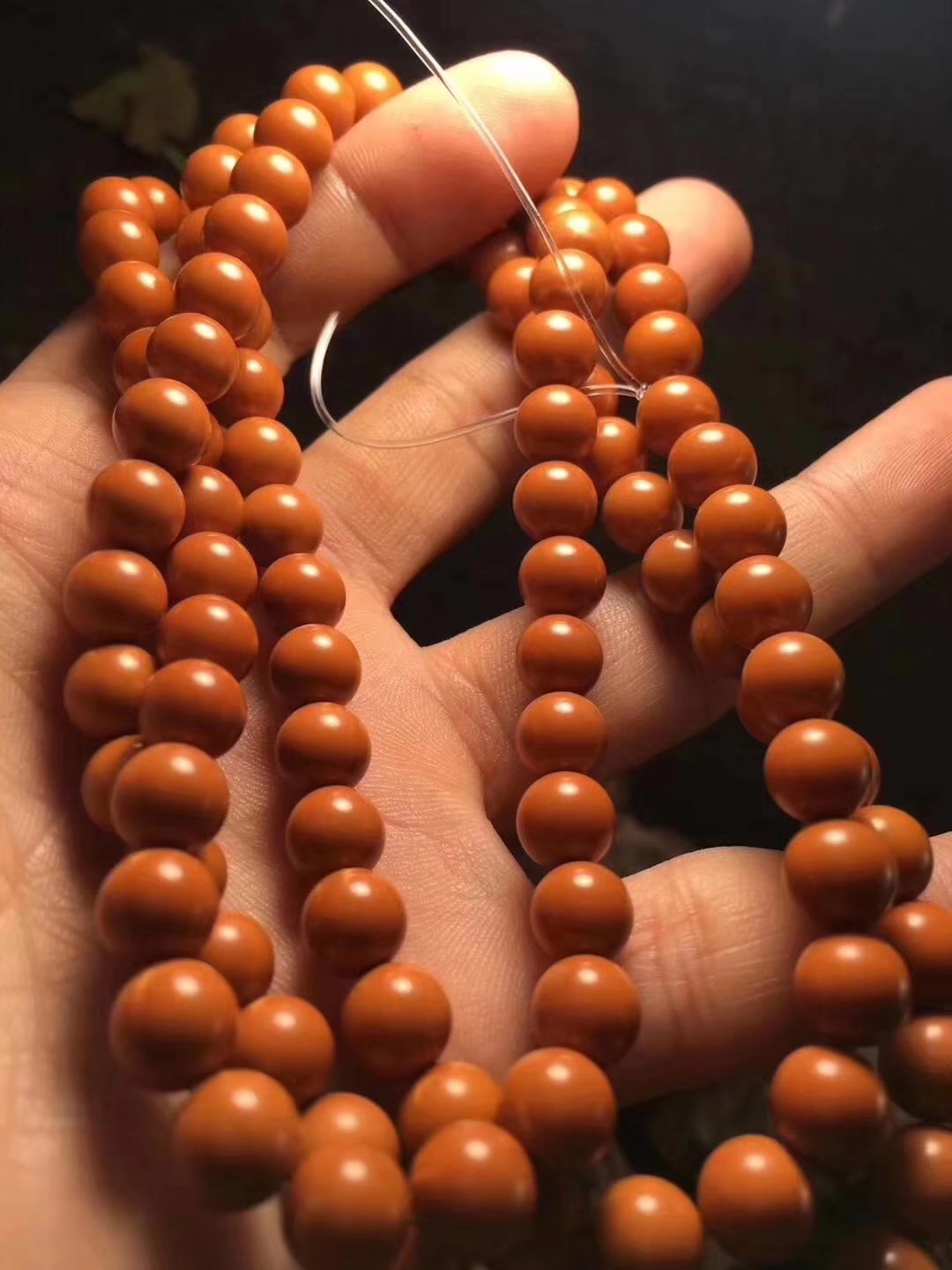 橄榄核春天能玩吗,橄榄核之秋