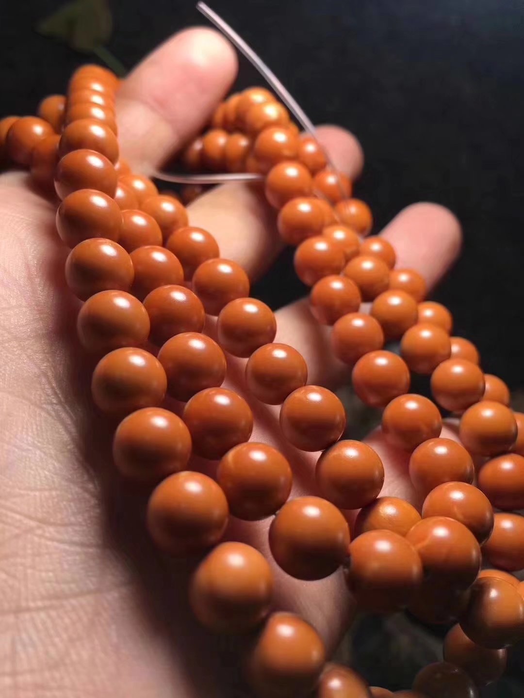 橄榄核春天能玩吗,橄榄核之秋