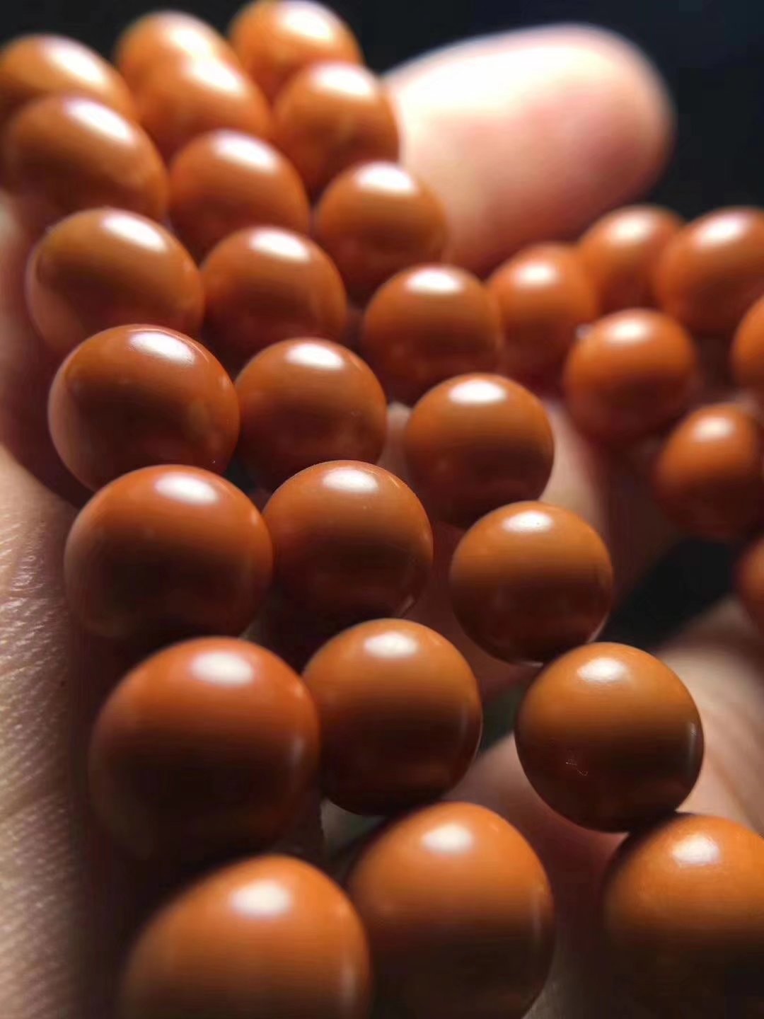 橄榄核春天能玩吗,橄榄核之秋