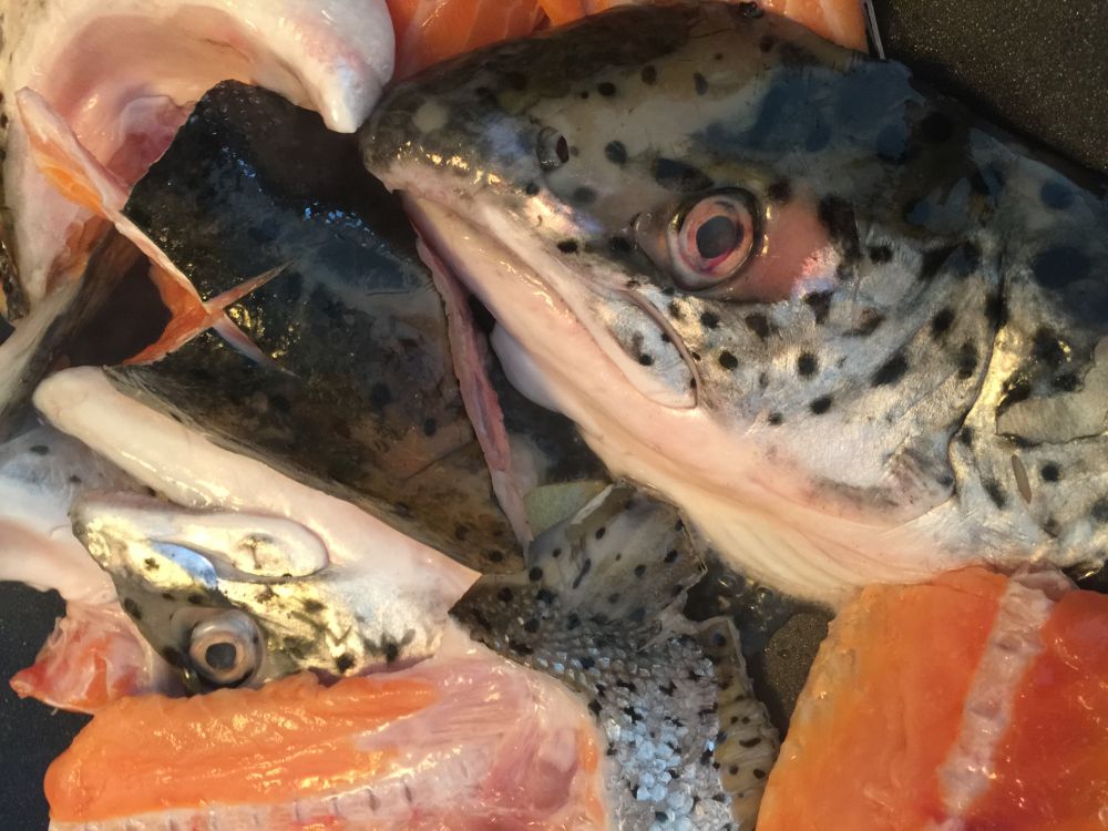 三文鱼头汤图解,三文鱼头汤