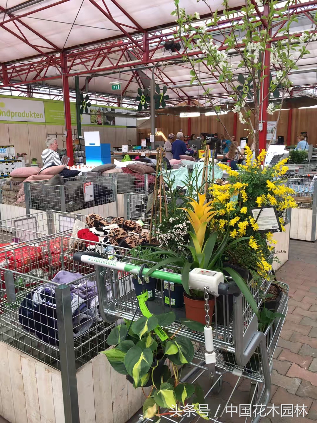 荷兰花园店值得购买的产品,荷兰花园店必买的产品