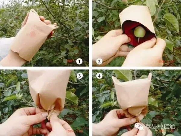 必看属于违禁词吗,必看的意思