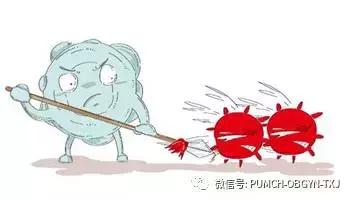 hpv疫苗要不要打协和医院,协和医院可以打乙肝疫苗吗