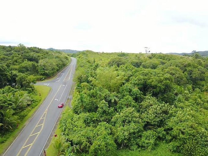 帕劳旅行的日记,帕劳的旅行日记