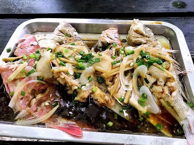 帕劳旅行的日记,帕劳的旅行日记