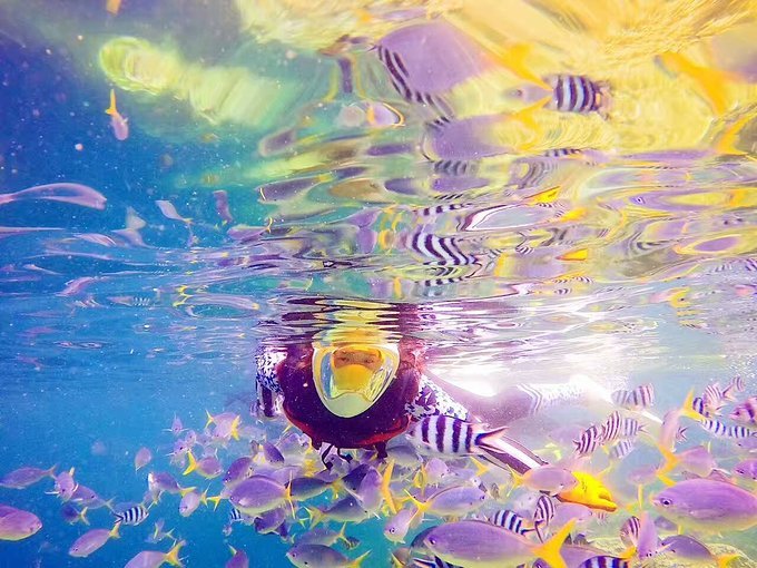 帕劳旅行的日记,帕劳的旅行日记