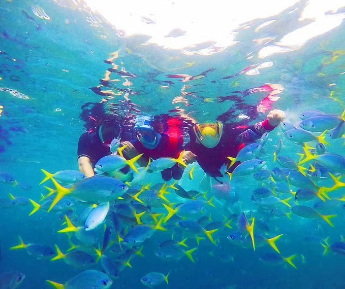 帕劳旅行的日记,帕劳的旅行日记