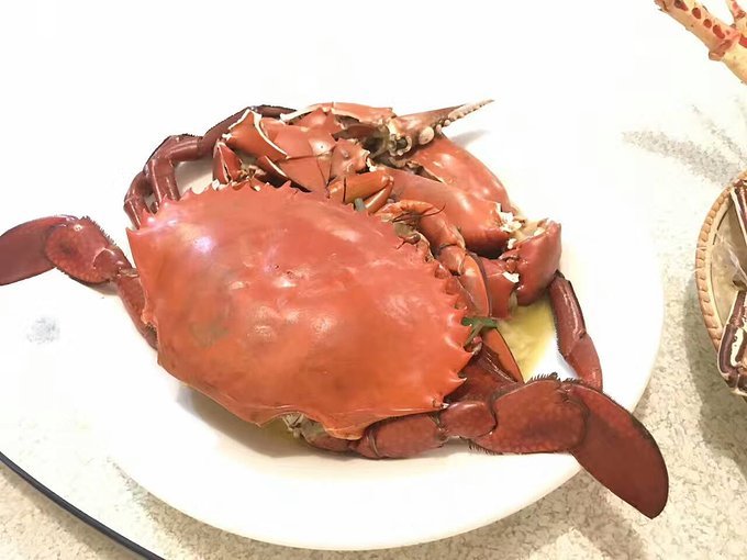 帕劳旅行的日记,帕劳的旅行日记