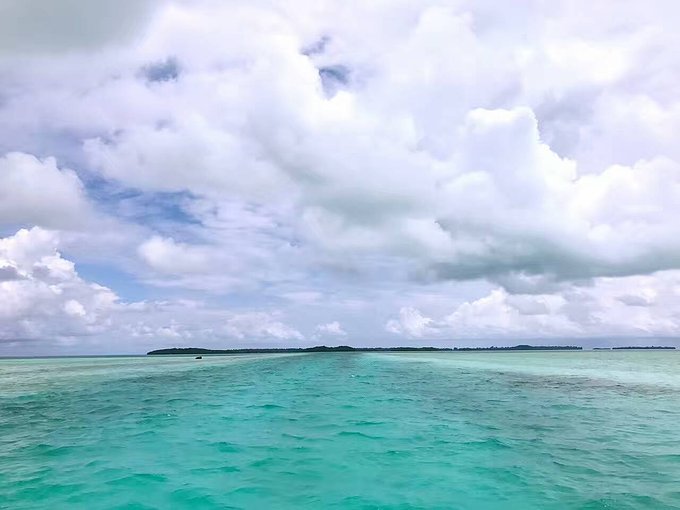 帕劳旅行的日记,帕劳的旅行日记