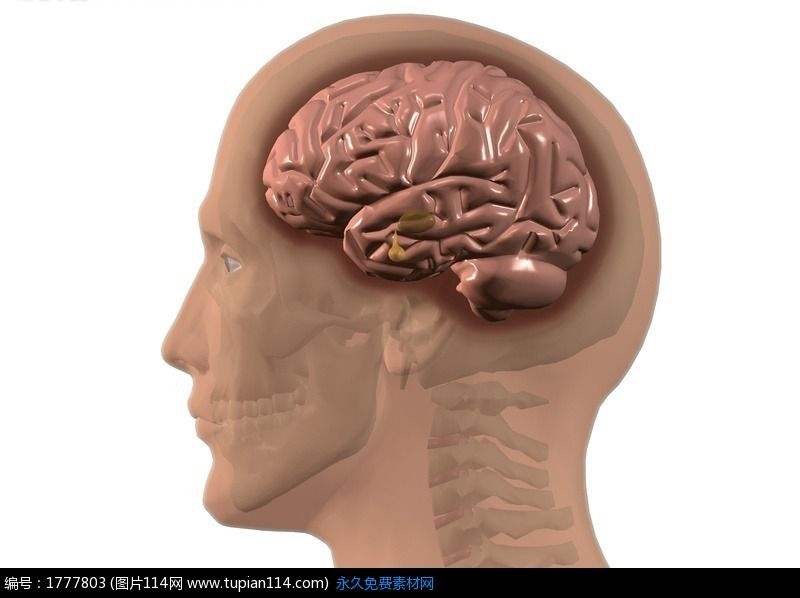 5位数的车牌号什么数字比较好,为什么五位数车牌号好