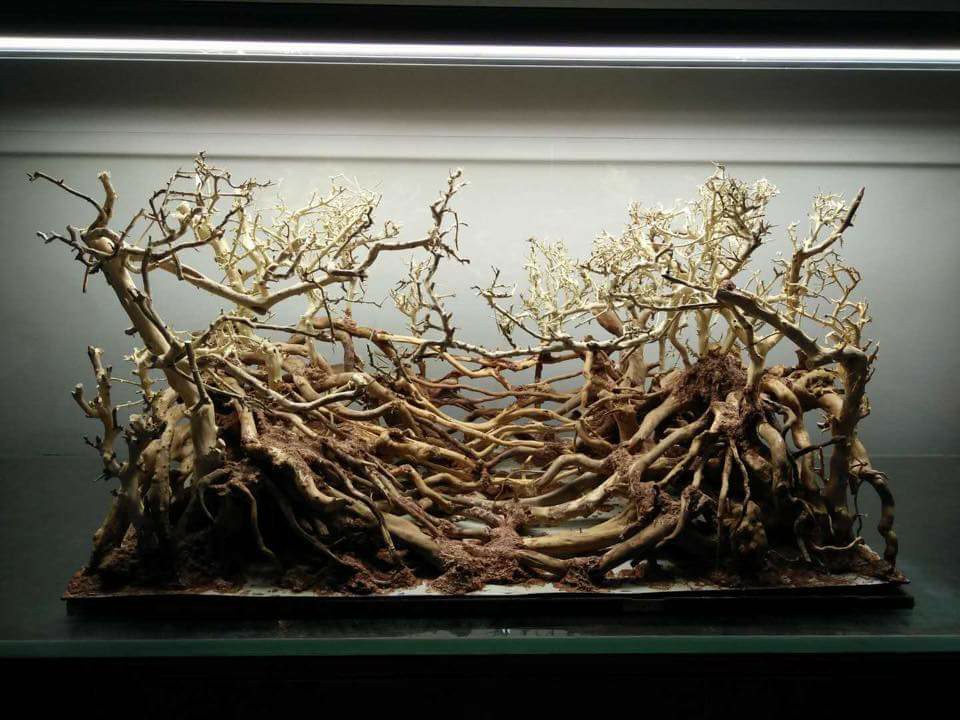 鱼缸改造草缸造景新手教程,新手草缸简单造景图