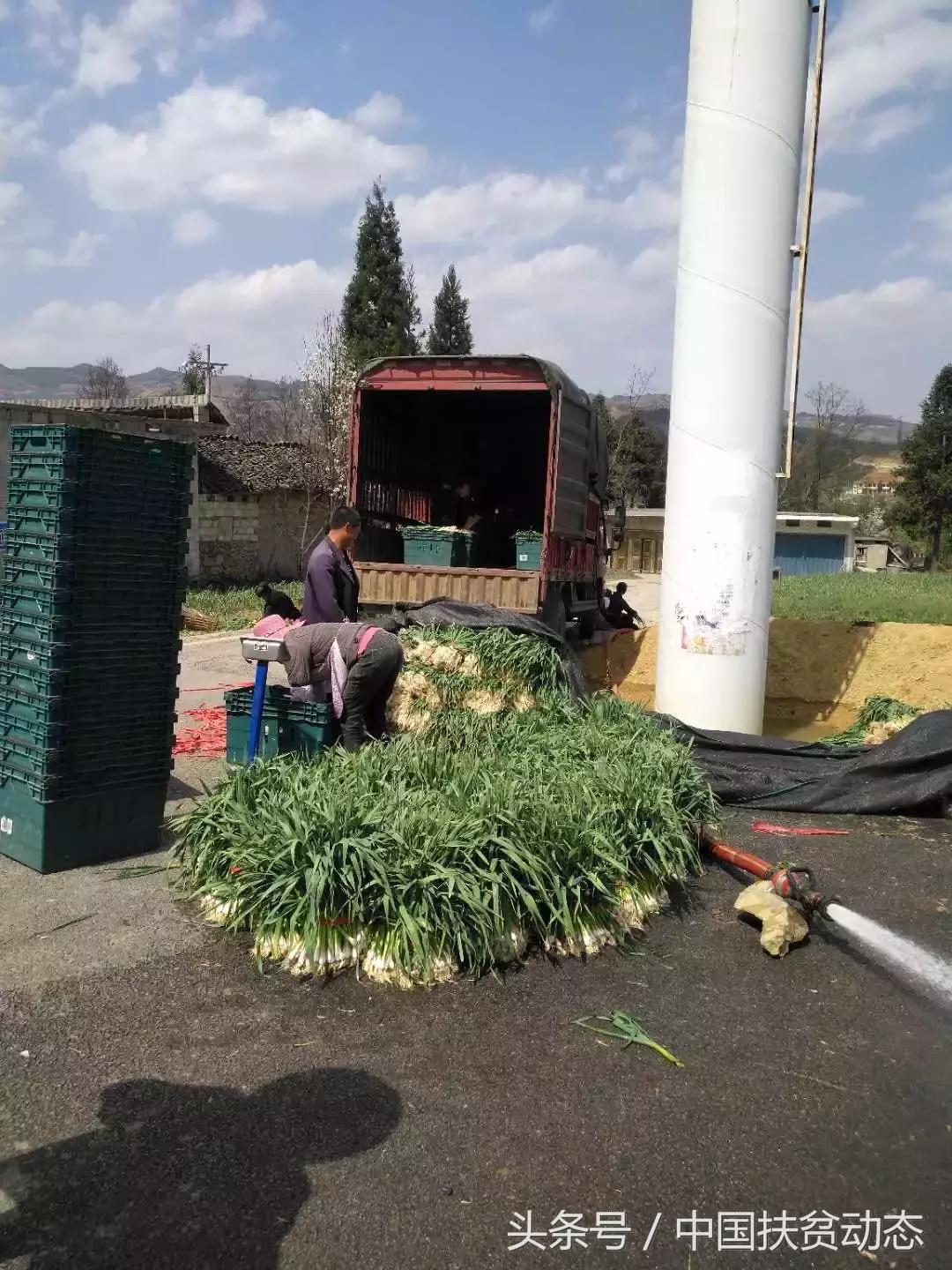 贵州合力超市集团发挥平台优势——解决农产品销售难问题,实现产业扶贫工作