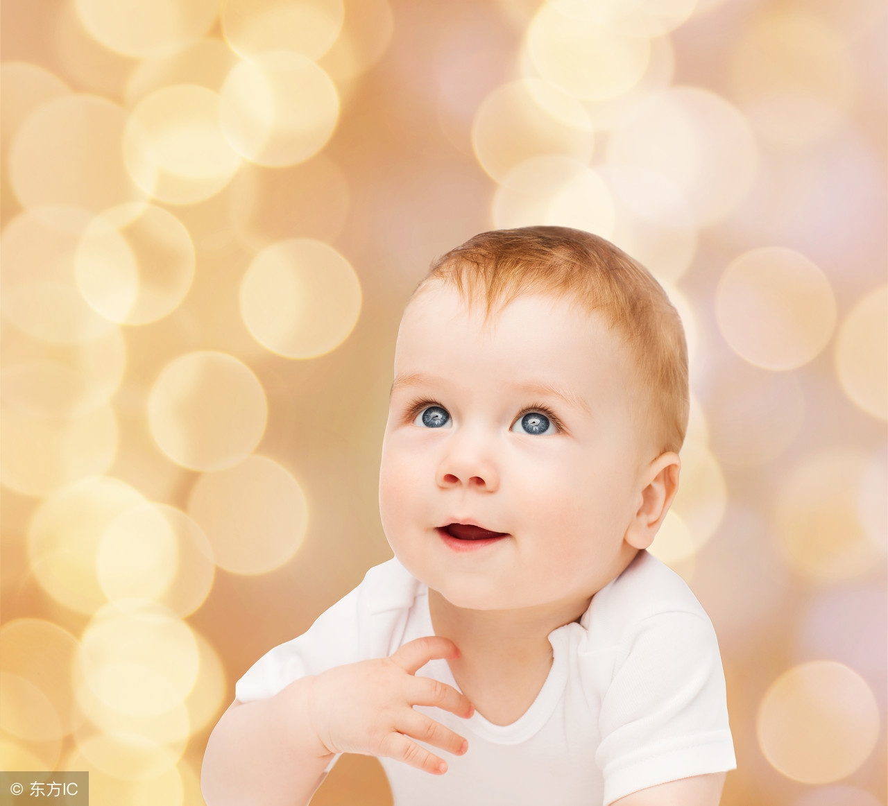 育儿日记内向宝宝,宝宝看到小鸡崽视频