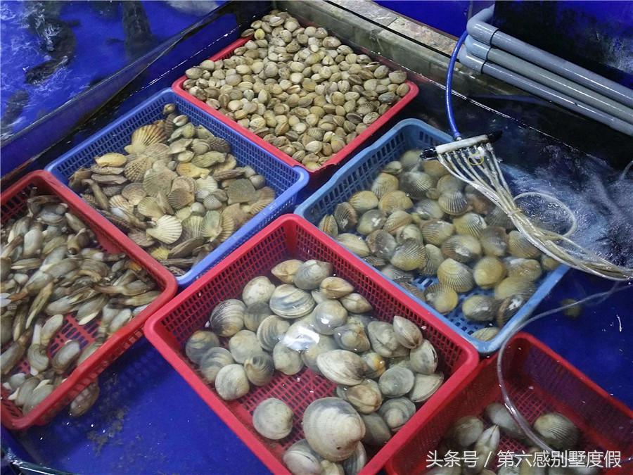 岘港旅游攻略自由行攻略,岘港旅游攻略自由行