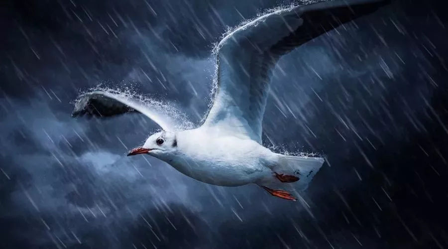 肺癌小细胞癌中晚期能活多久,肺癌晚期该怎么度过