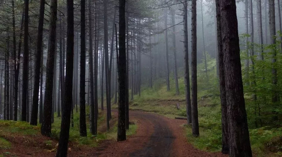 肺癌小细胞癌中晚期能活多久,肺癌晚期该怎么度过