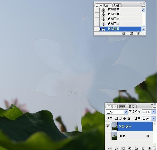 拍荷花用ps做成水墨画方法,ps怎样将拍的荷花p得漂亮免费教程