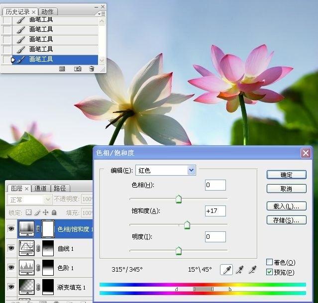 拍荷花用ps做成水墨画方法,ps怎样将拍的荷花p得漂亮免费教程