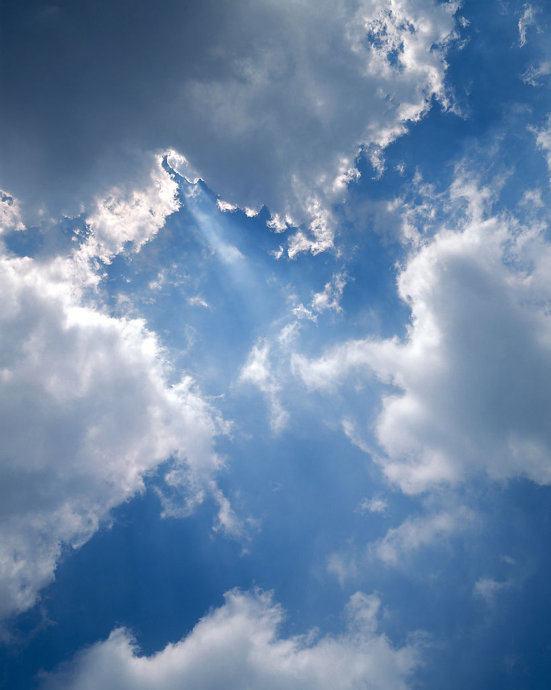 拍荷花用ps做成水墨画方法,ps怎样将拍的荷花p得漂亮免费教程