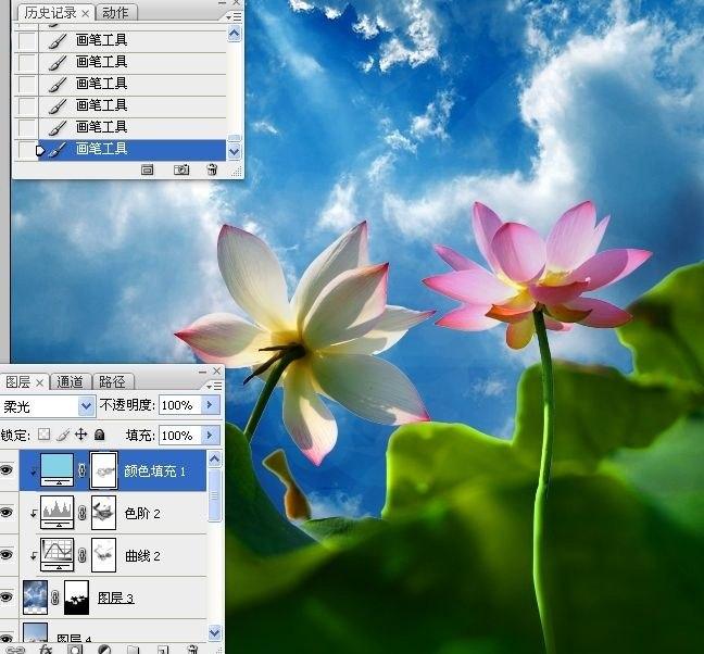拍荷花用ps做成水墨画方法,ps怎样将拍的荷花p得漂亮免费教程