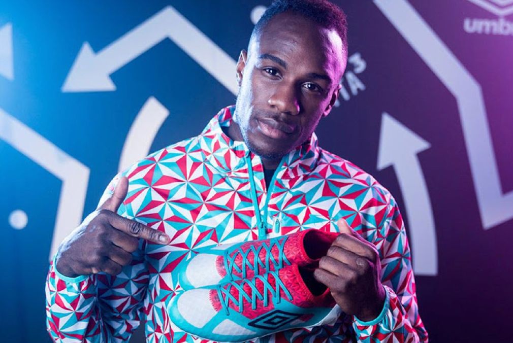 茵宝目前处境,茵宝跌下神坛