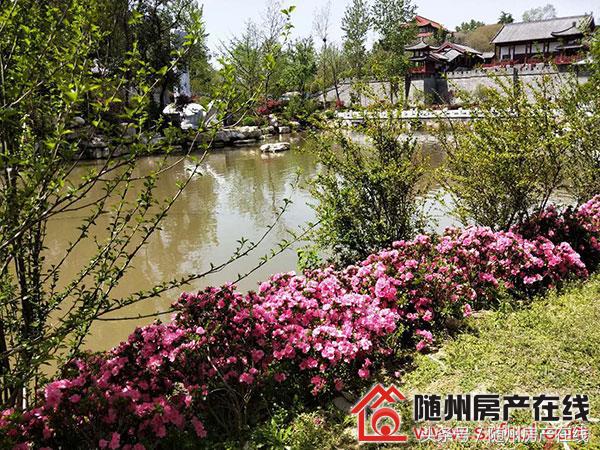 随州森源荣御中央185平米,随州荣御中央