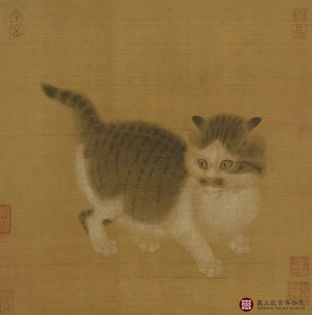 故宫里最出名的猫,北京故宫博物院的猫