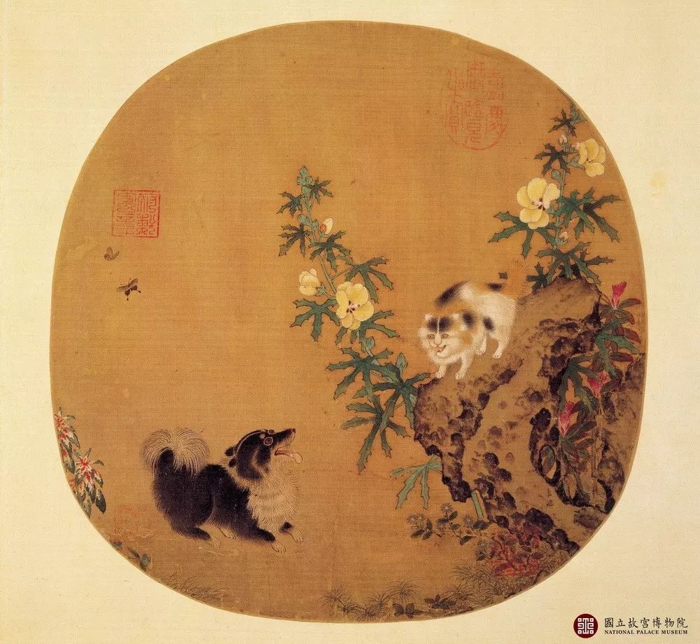 故宫里最出名的猫,北京故宫博物院的猫