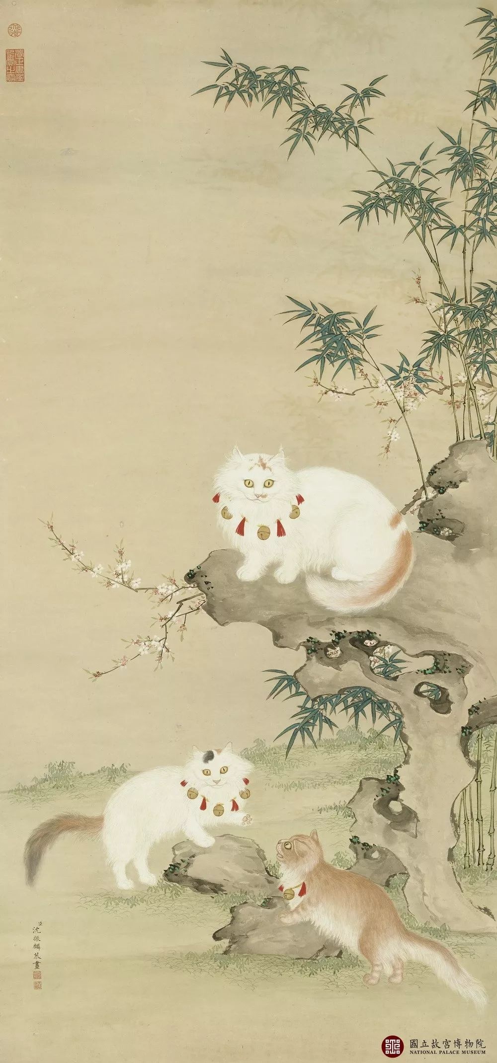 故宫里最出名的猫,北京故宫博物院的猫