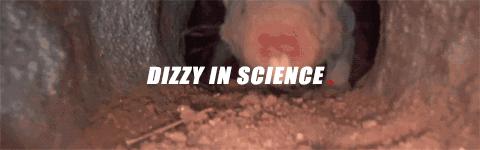 自愈能力最强的哺乳动物,唯一不会得癌症的哺乳动物