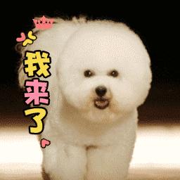 好用的几十块的防晒霜,好用防晒霜推荐50岁