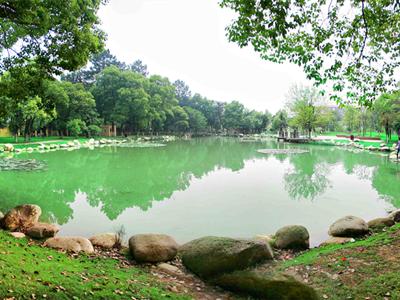 武汉外语外事职业学院周围环境,武汉外语外事职业学院等你来