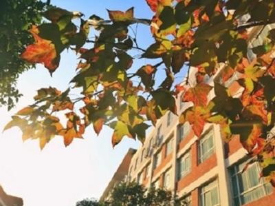 武汉外语外事职业学院周围环境,武汉外语外事职业学院等你来