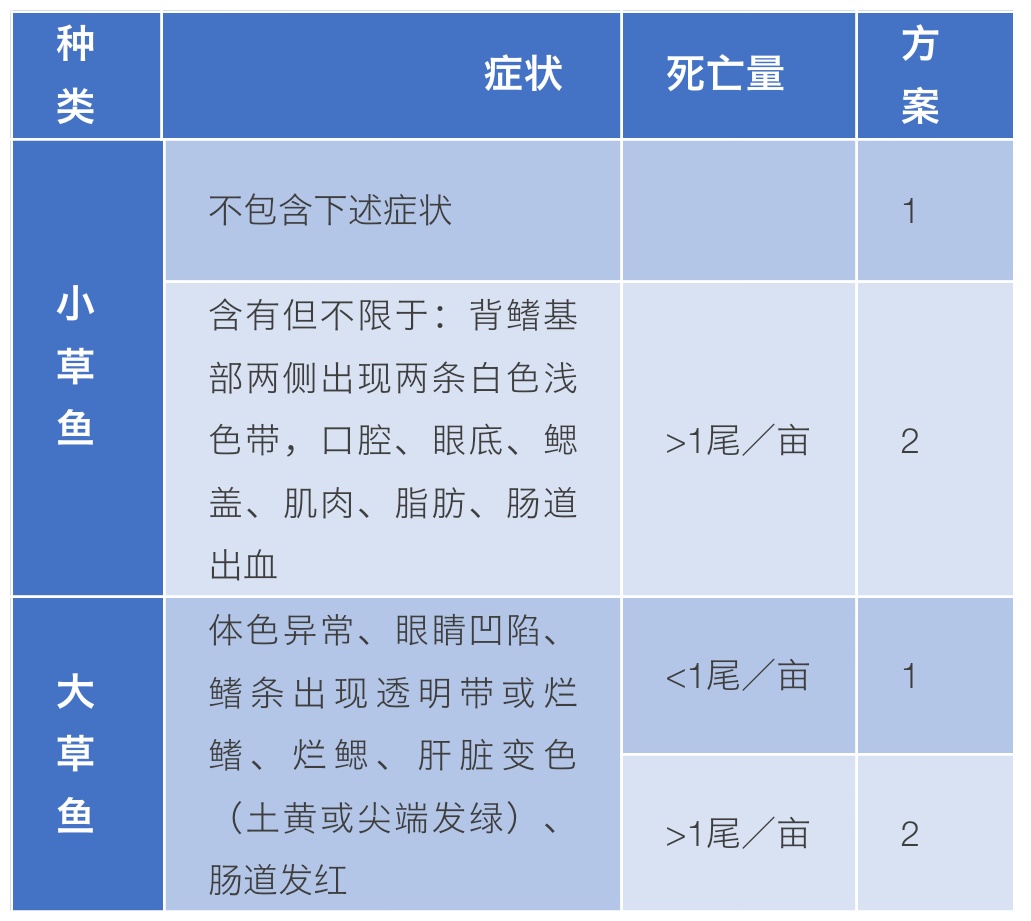 近期草鱼苗死亡量大的原因,草鱼死亡防控措施
