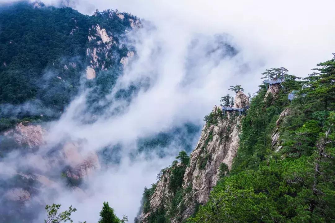 【春醒·忆老家踏青赏花季】2018年第三届尧山山花节，一个见证爱情的地方